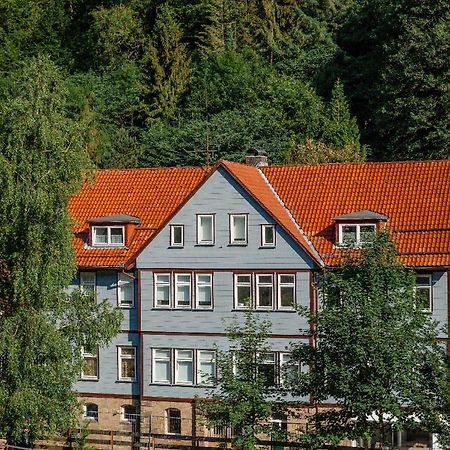Fewo-Lerbachtal Osterode am Harz Екстериор снимка