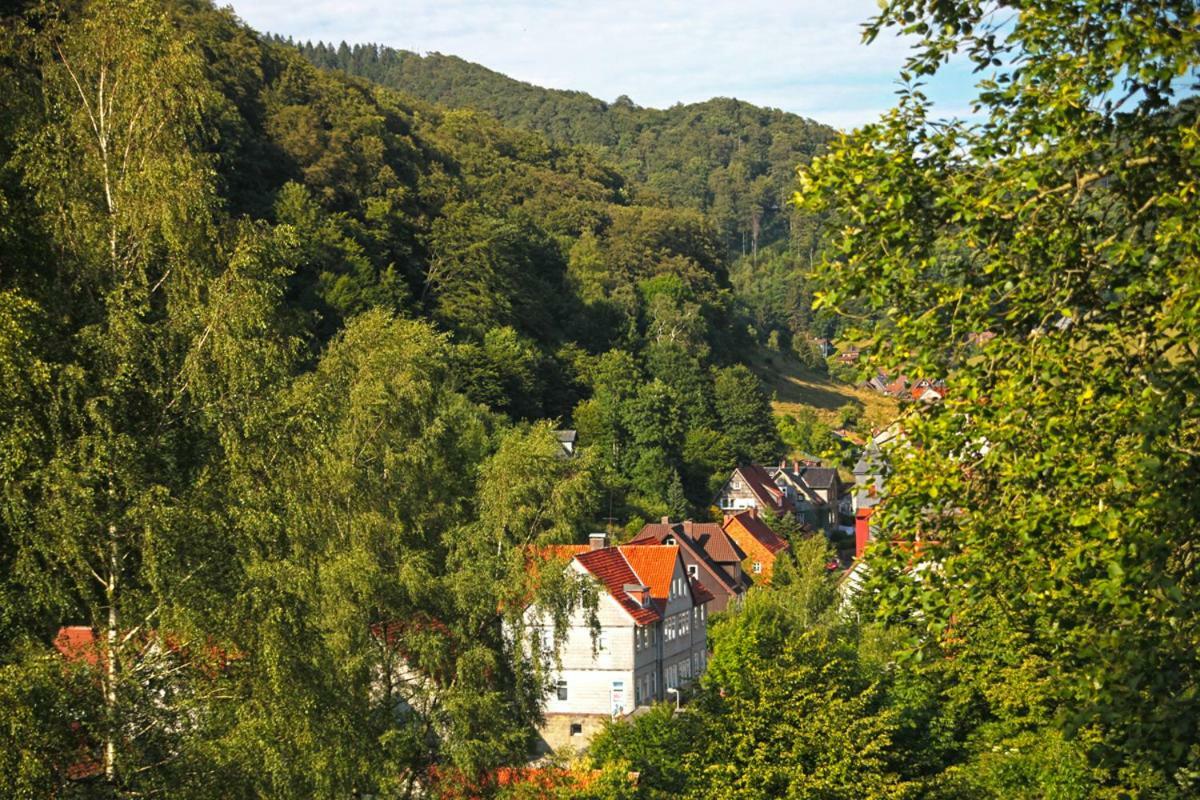 Fewo-Lerbachtal Osterode am Harz Екстериор снимка