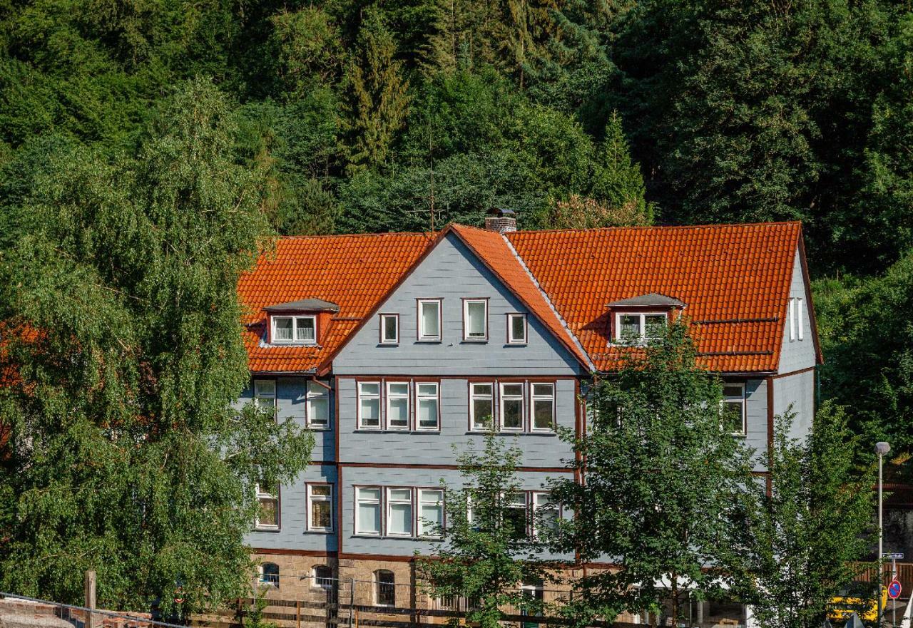 Fewo-Lerbachtal Osterode am Harz Екстериор снимка