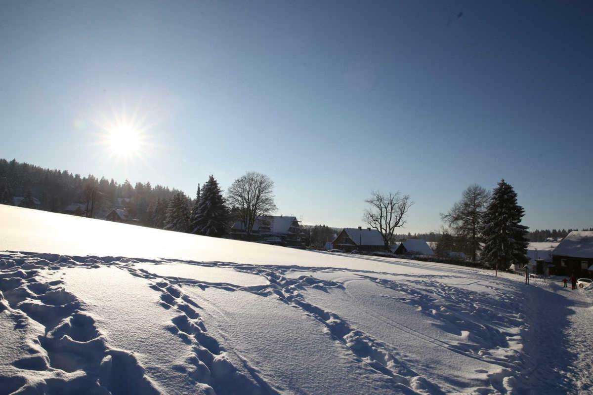 Fewo-Lerbachtal Osterode am Harz Екстериор снимка